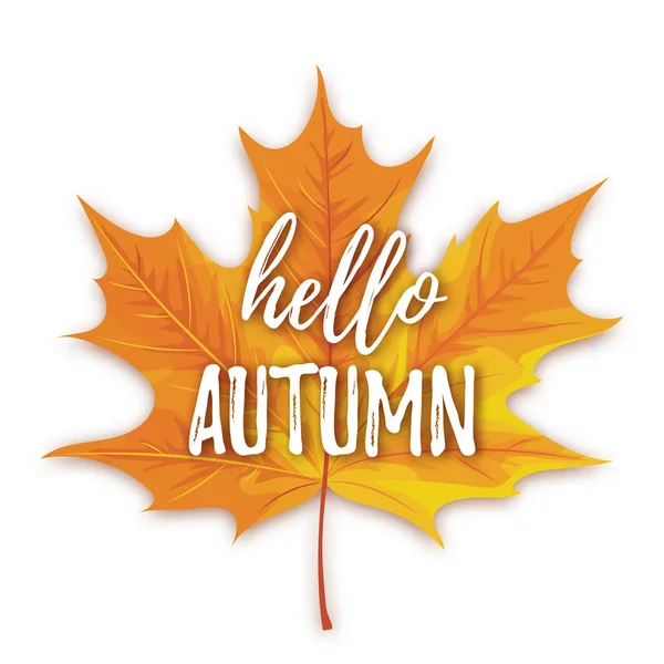 Dobrý Den Podzim Nápisy Javor Podzim Listy Izolované Bílém Pozadí — Stockový vektor