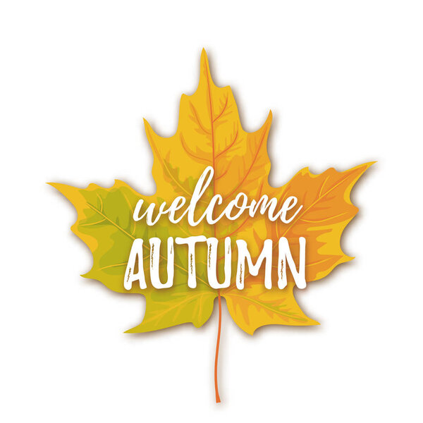 Welcome autumn lettering on maple autumn leaf isolated on white background