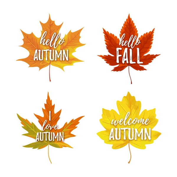 Realistické Podzimní Listí Vlysy Izolovaných Bílém Pozadí — Stockový vektor
