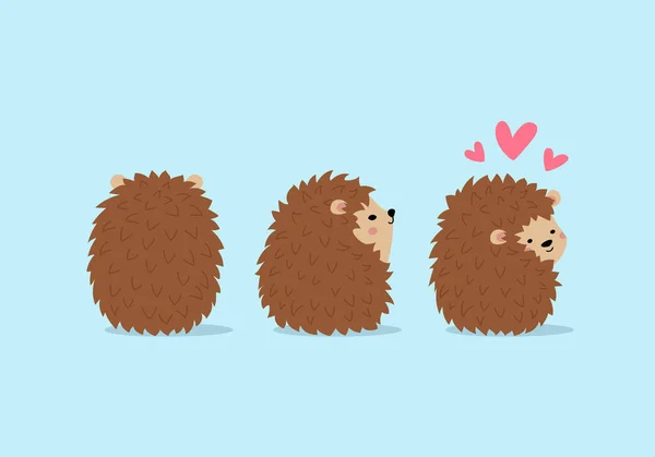 Set Cute Hedgehogs Different Poses — Stock Vector