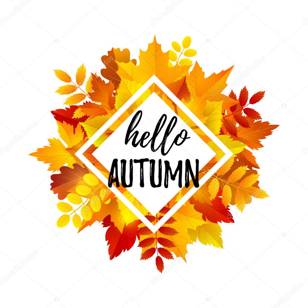 Hello Autumn greeting card made of maple leaves isolated on white background