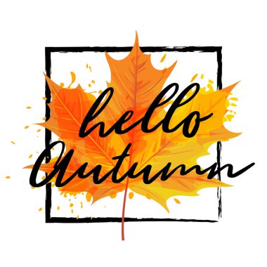 Vektör çizim, gerçekçi sonbahar yaprak. Merhaba sonbahar tebrik kartı.