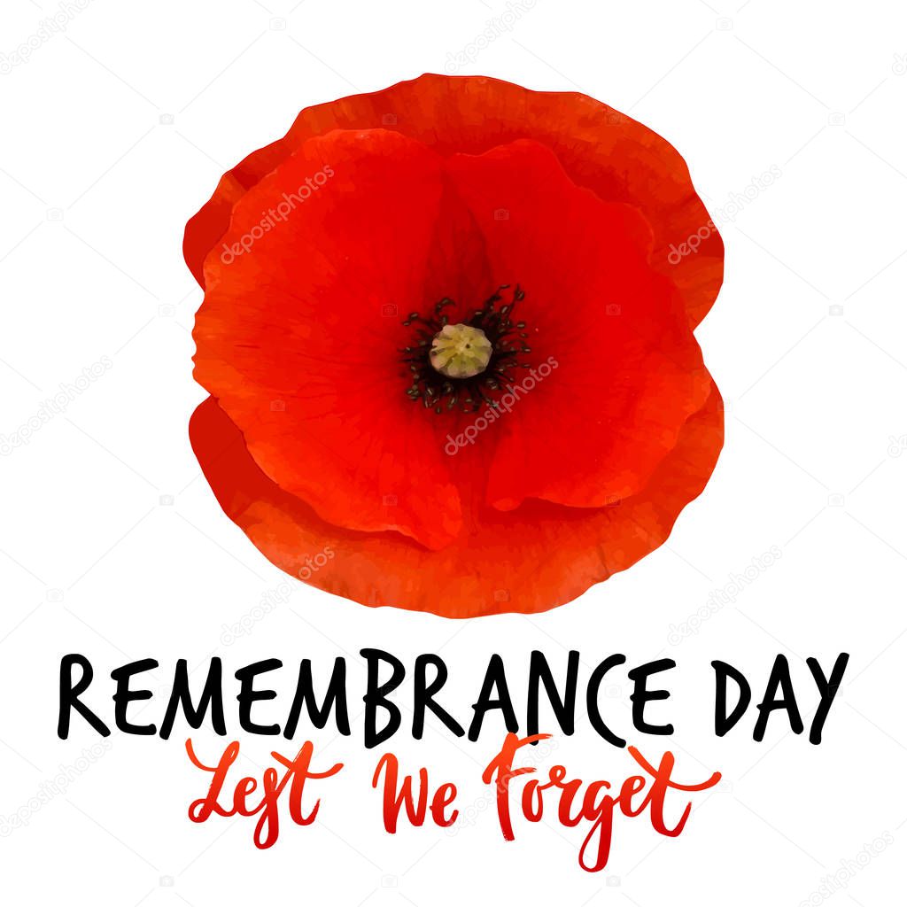 Remembrance day vector card with bright red Poppy flower. Lest we forget  hand written lettering.