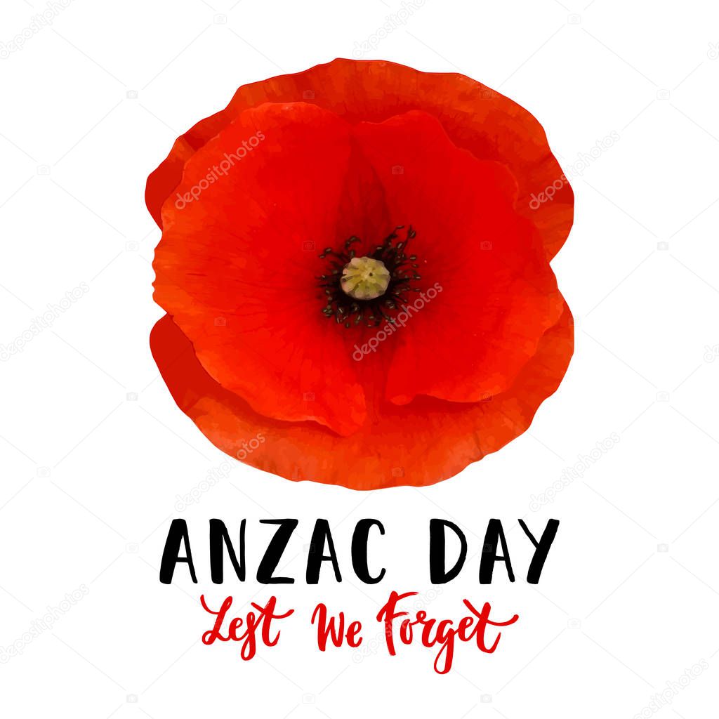 Remembrance day vector card with bright red Poppy flower. Lest we forget  hand written lettering.