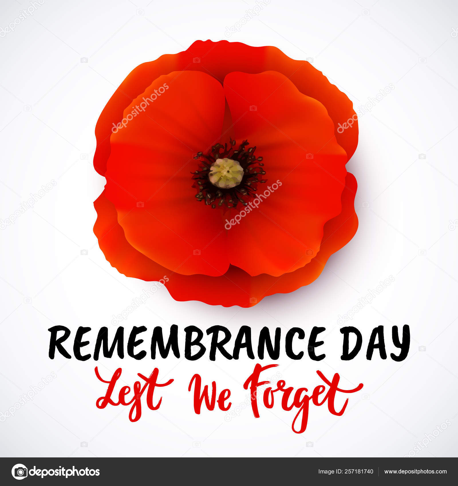 Remembrance Day Vector Poster Design With Lettering Stock Vector Image By C Barkarola