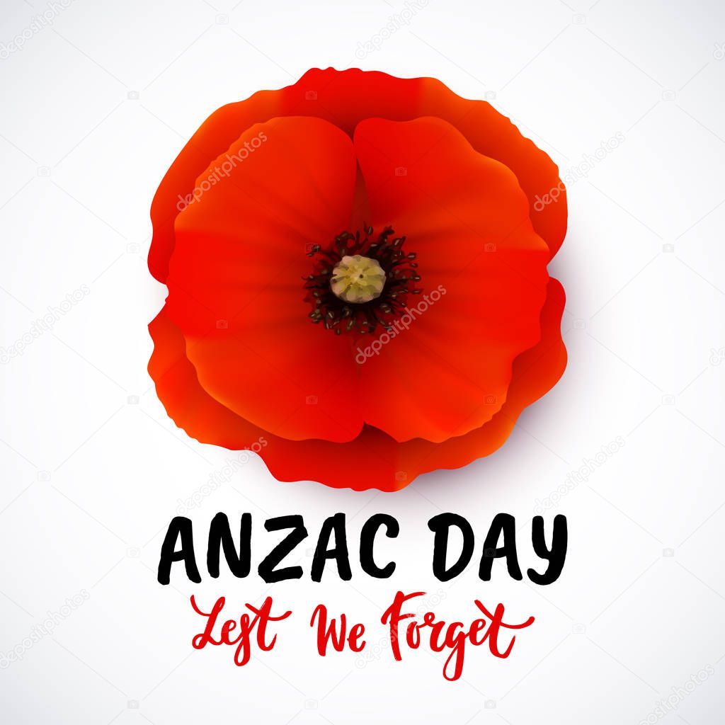 Remembrance day vector poster design with lettering