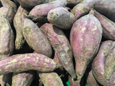 endonezya mağazada ham mor manyok, ham mor manyok arka plan çok ham mor manyok kazık