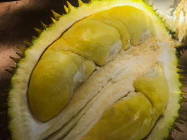 Sarı renkli Durian olgun ve taze , durian kabuğu kadar yakın