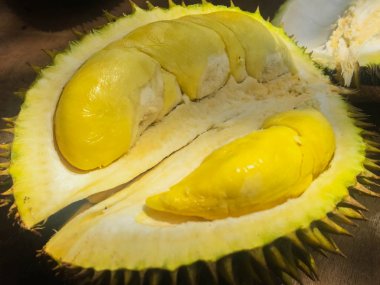 Sarı renkli Durian olgun ve taze , durian kabuğu kadar yakın