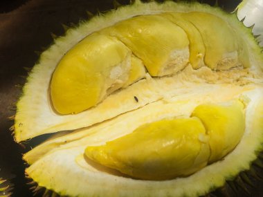 Sarı renkli Durian olgun ve taze , durian kabuğu kadar yakın