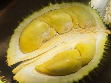 Sarı renkli Durian olgun ve taze , durian kabuğu kadar yakın