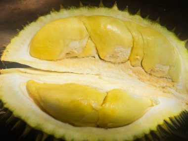 Sarı renkli Durian olgun ve taze , durian kabuğu kadar yakın