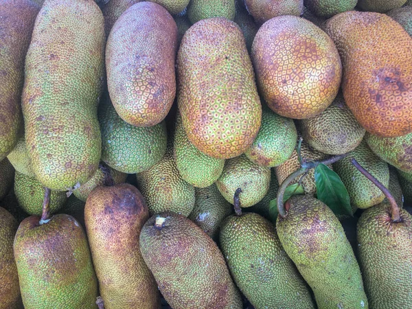 Cempedak or Artocarpus Integer fruits in heap at farmer market
