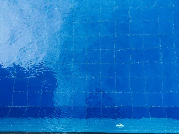 Wasser Plätschert Auf Blau Gefliestem Schwimmbadhintergrund Blick Von Oben — Stockfoto