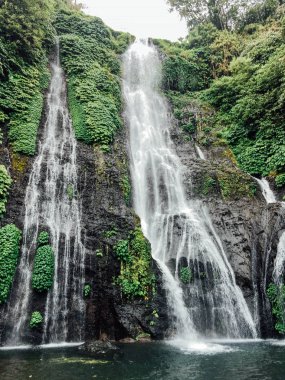 Kuzey Bali adasında Banyumala şelale, Endonezya. Kaya ve turkuaz mavigölet ile tropikal yağmur ormanlarında Orman şelale çağlayan. Adı Banyumala çünkü dağ yamacında ikiz şelale