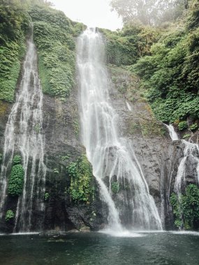 Kuzey Bali adasında Banyumala şelale, Endonezya. Kaya ve turkuaz mavigölet ile tropikal yağmur ormanlarında Orman şelale çağlayan. Adı Banyumala çünkü dağ yamacında ikiz şelale