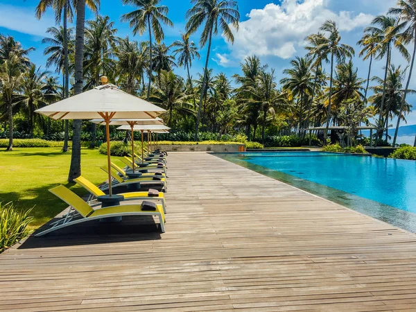 Beautiful Tropical Swimming Pool Hotel Resort Umbrella Coconuts Tree Sun — Stock Photo, Image