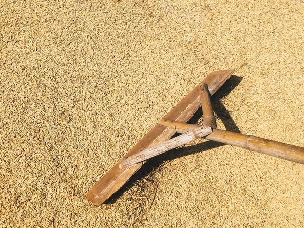 Rice Farm Ancient Old Agriculture Tools Wood Broom Drying Rice — Stock Photo, Image