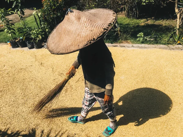 person in traditional hat sweeping field, Bali, Indonesia