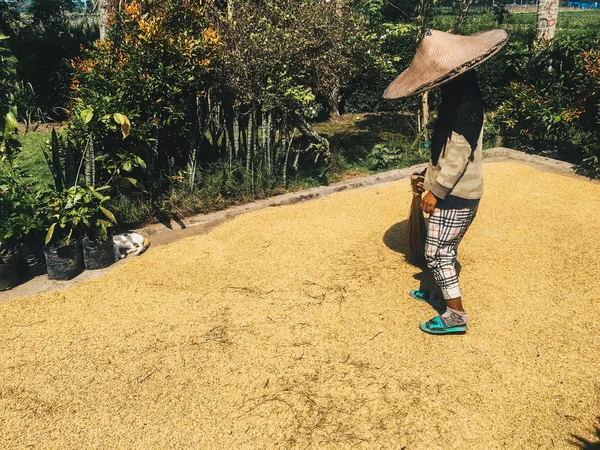 person in traditional hat sweeping field, Bali, Indonesia