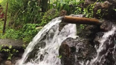 Kuzey Bali adasında Banyumala şelale, Endonezya. Orman şelale ile tropikal yağmur ormanlarında çağlayan 