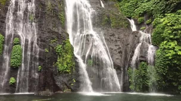 インドネシア 北バリ島のバヌマラ滝 熱帯雨林のジャングルの滝がカスケード — ストック動画