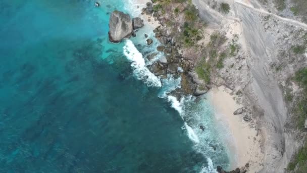 Vista Aérea Drones Acantilado Blanco Océano Roca Playa Árbol Orilla — Vídeo de stock