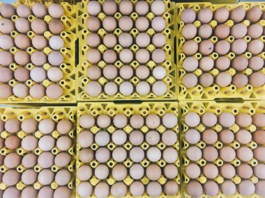 Sarı yumurta tepsisi karton kahverengi veya çiğ tavuk yumurtası, süpermarkette satılık paket te taze çiğ tavuk yumurtası