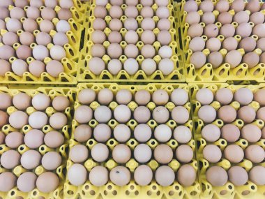Sarı yumurta tepsisi karton kahverengi veya çiğ tavuk yumurtası, süpermarkette satılık paket te taze çiğ tavuk yumurtası