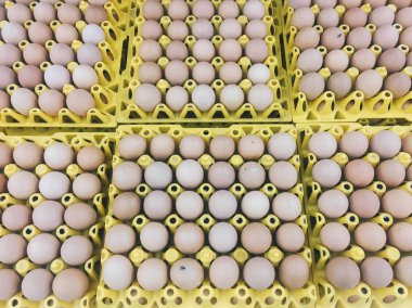 Sarı yumurta tepsisi karton kahverengi veya çiğ tavuk yumurtası, süpermarkette satılık paket te taze çiğ tavuk yumurtası
