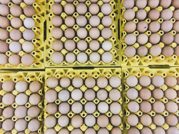 Huevos Gallina Color Marrón Crudo Cartón Bandeja Huevo Amarillo Huevos —  Fotos de Stock