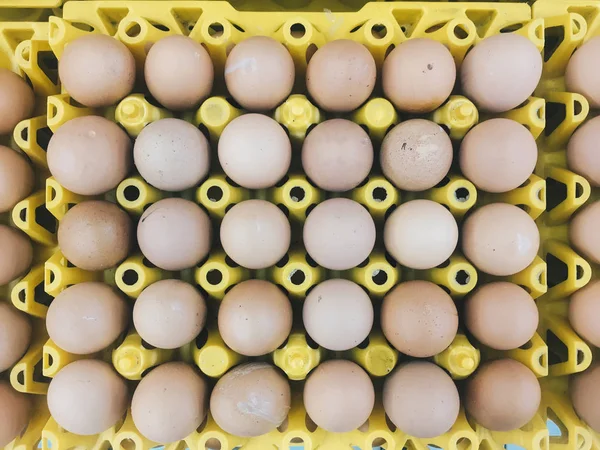 Huevos Gallina Color Marrón Crudo Cartón Bandeja Huevo Amarillo Huevos —  Fotos de Stock