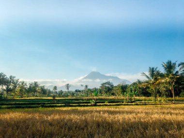 Merapi Volcano Mountain manzaralı, Yogyakarta, Endonezya