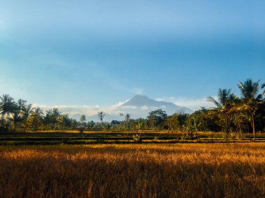 Merapi Volcano Mountain manzaralı, Yogyakarta, Endonezya