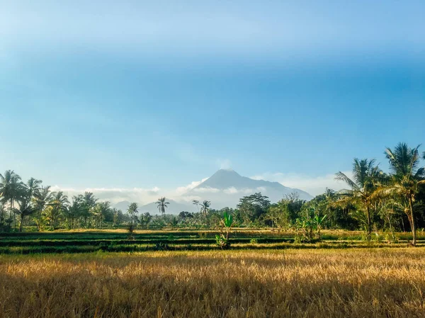 Merapi Volcano Mountain manzaralı, Yogyakarta, Endonezya