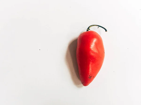 Fresh Red Hot Habanero Pepper Gendol Chili White Background — Stock Photo, Image