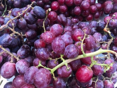 Kırmızı şarap üzüm veya koyu üzüm veya Kırmızı Üzüm piyasada satılan