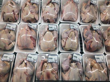Pazar tezgahında taze civciv paketleri