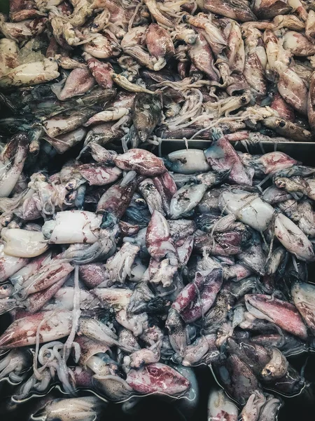 Calamares Crudos Refrigerados Mercado Pescado Indonesia — Foto de Stock