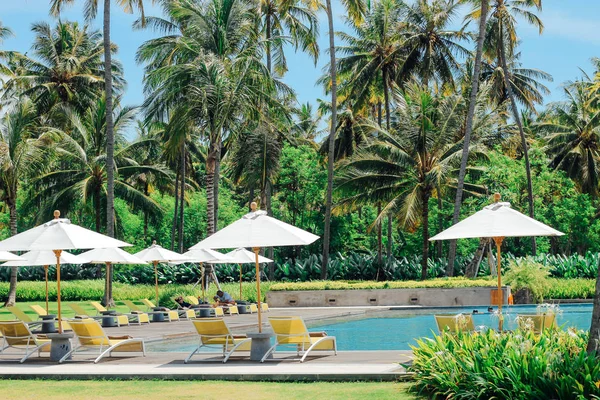 Beautiful tropical swimming pool in hotel or resort with umbrella, coconuts tree sun-loungers, palm trees with infinity pool view, ocean and mountain background