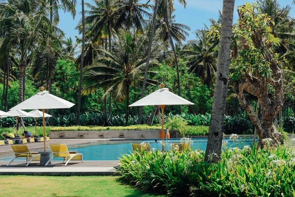 Beautiful tropical swimming pool in hotel or resort with umbrella, coconuts tree sun-loungers, palm trees with infinity pool view, ocean and mountain background