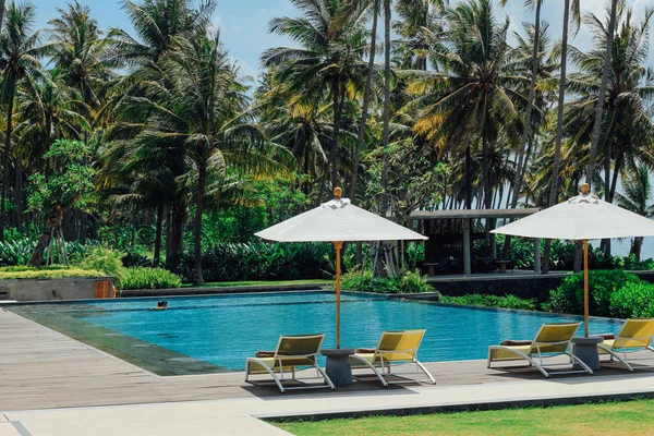 Beautiful tropical swimming pool in hotel or resort with umbrella, coconuts tree sun-loungers, palm trees with infinity pool view, ocean and mountain background