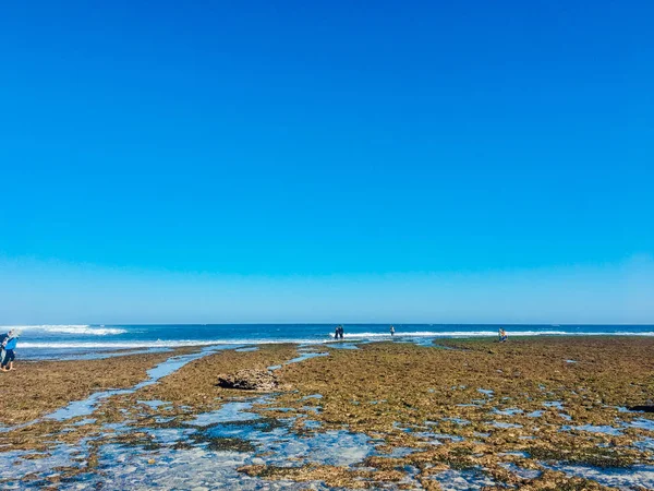 Gunung Kidul Güzel Plaj Endonezya Insanlarla Gün Işığında Mercan Kaya — Stok fotoğraf