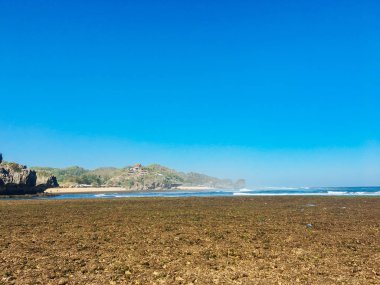 Gunung Kidul güzel plaj, Endonezya insanlarla gün ışığında, mercan kaya, yeşil deniz otları, ve ön planda düşük gelgit
