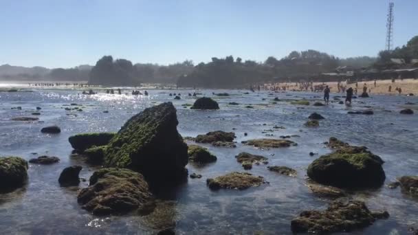 Gunung Kidul Güzel Plaj Endonezya Insanlarla Gün Işığında Mercan Kaya — Stok video