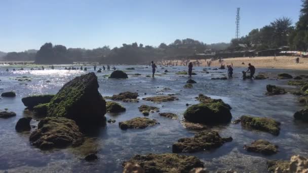 Piękna Plaża Gunung Kidul Indonezja Świetle Dziennym Ludźmi Skały Koralowe — Wideo stockowe