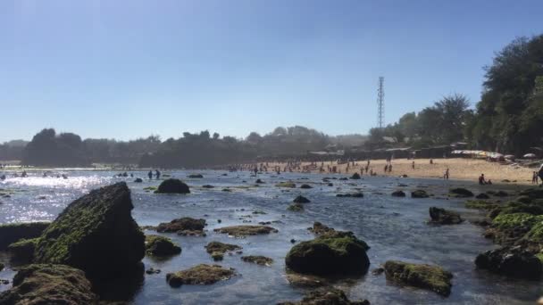 Costa Rocosa Con Olas Traviesas — Vídeo de stock
