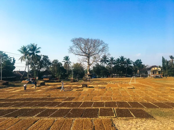 Magelang Indonesia Septiembre 2019 Los Agricultores Indonesia Secan Hojas Tabaco — Foto de Stock