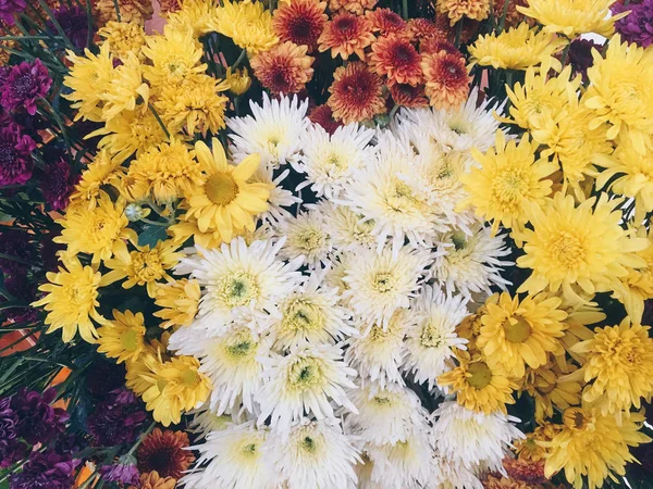 Ramo Flores Otoño Colores Brillantes Cerca —  Fotos de Stock