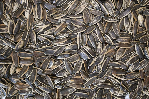 Organic Sunflower Seed Background Uses — Stock Photo, Image